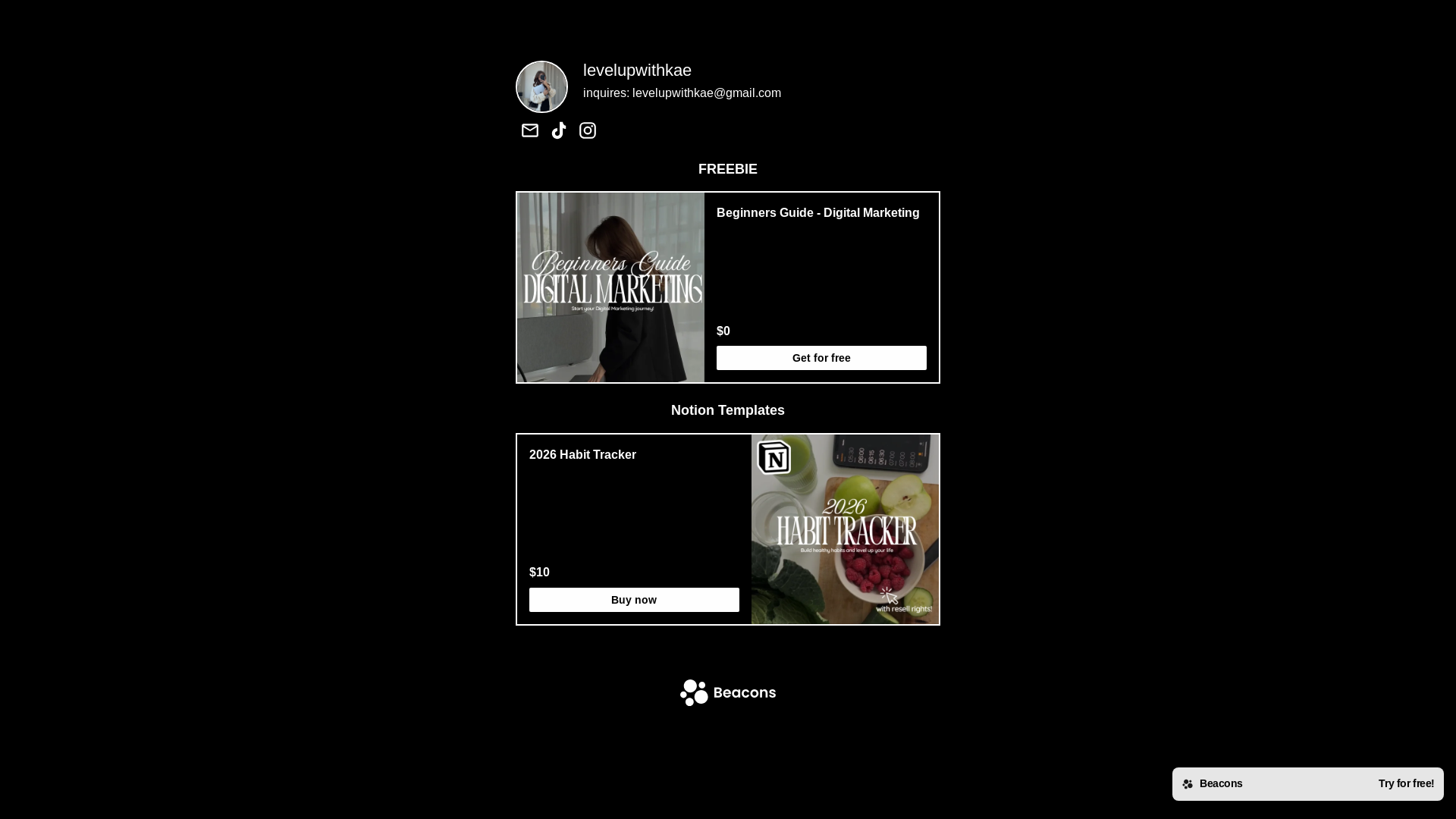 website screenshot of https://levelupwithkae.com/