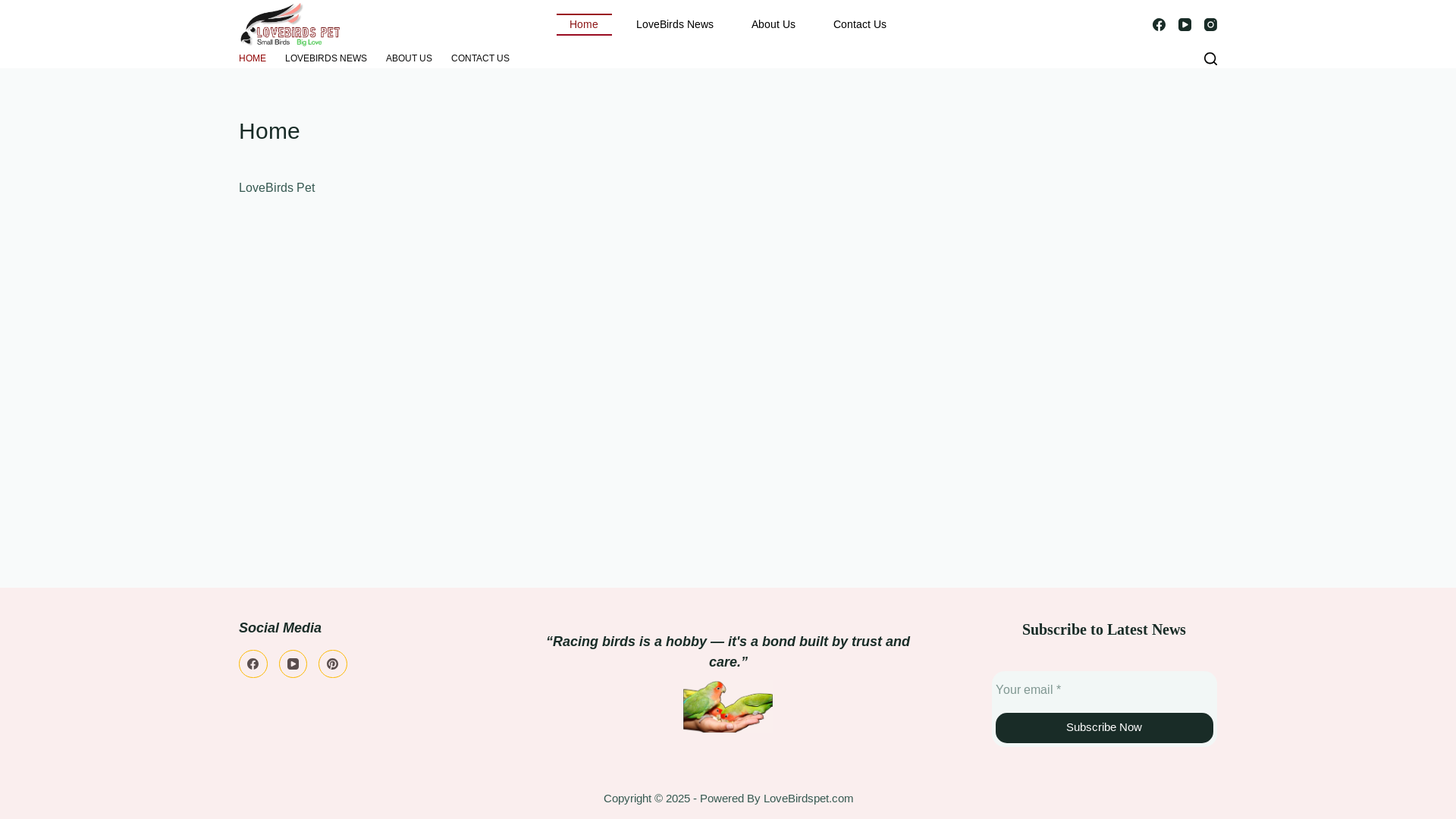 website screenshot of https://lovebirdspet.com/