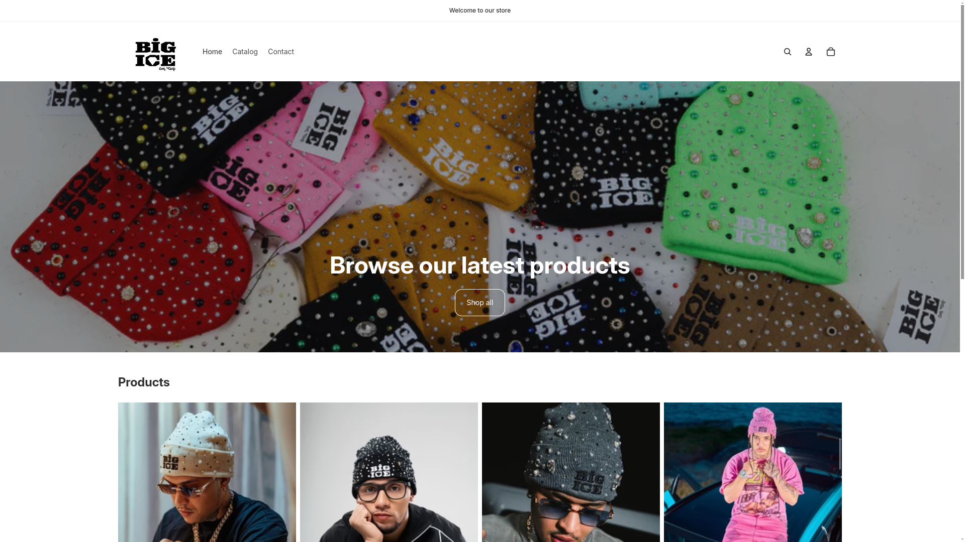 website screenshot of https://bigiceontop.com/