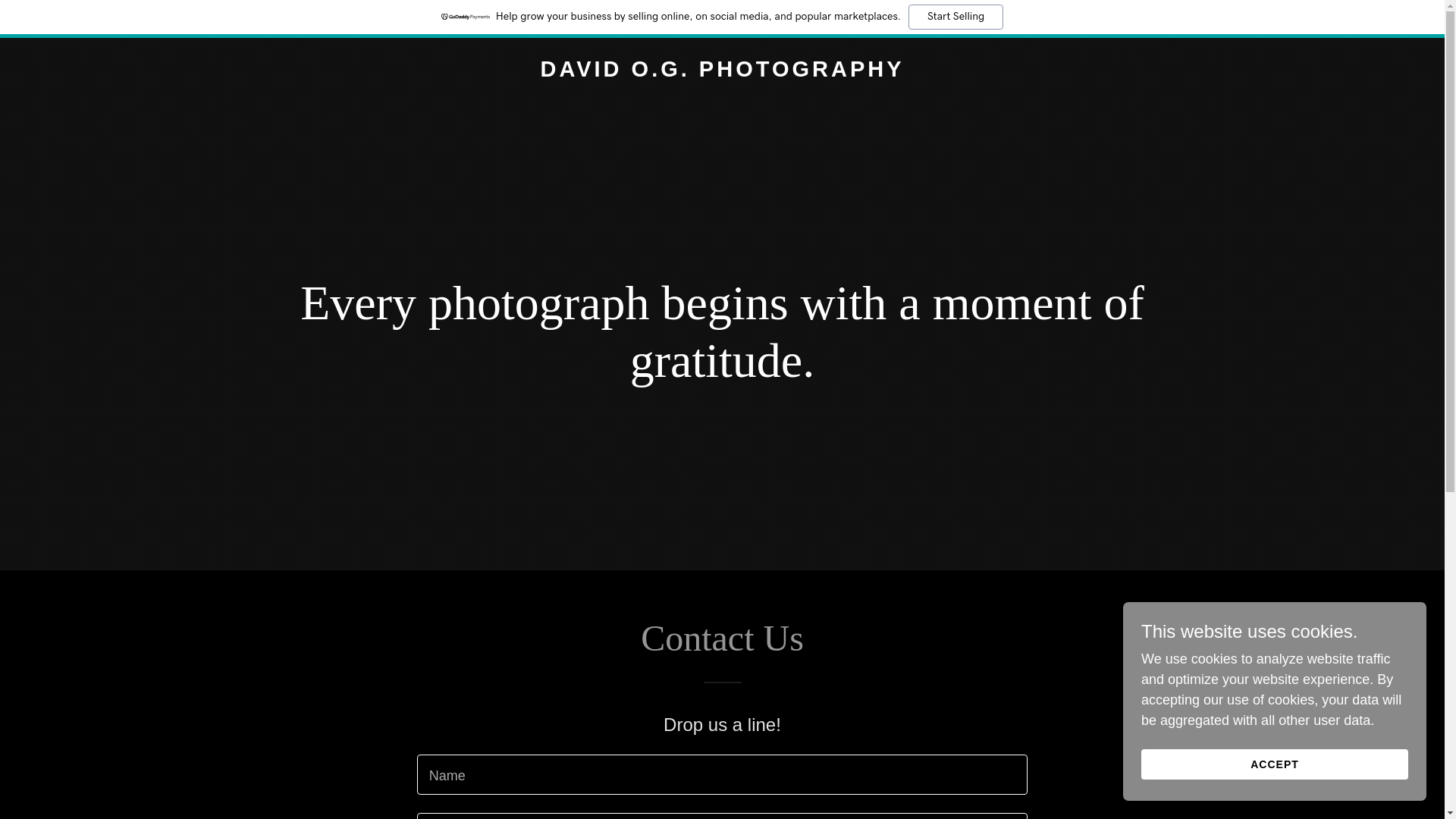 website screenshot of https://davidogphotography.com/