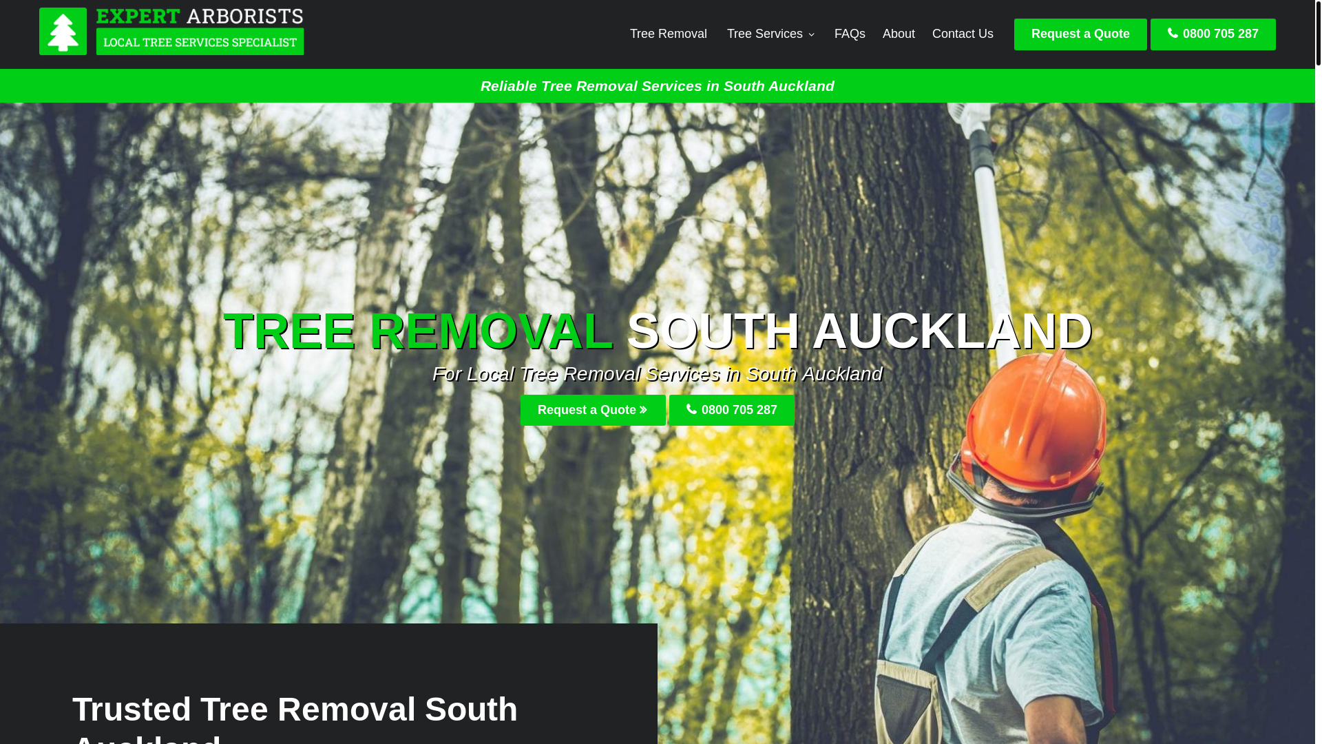 website screenshot of https://southaucklandtreeremoval-co-nz.pages.dev/