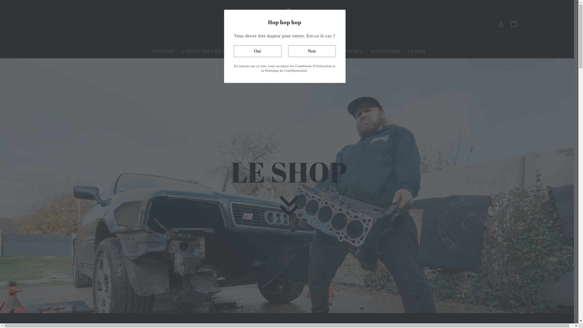 website screenshot of https://fdb-performance.fr/