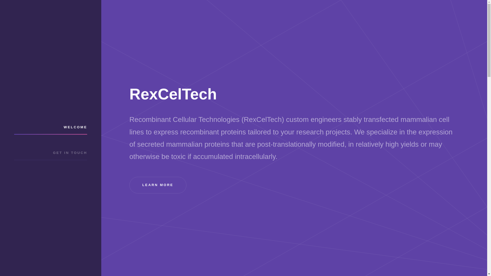 website screenshot of https://rexceltech.com/