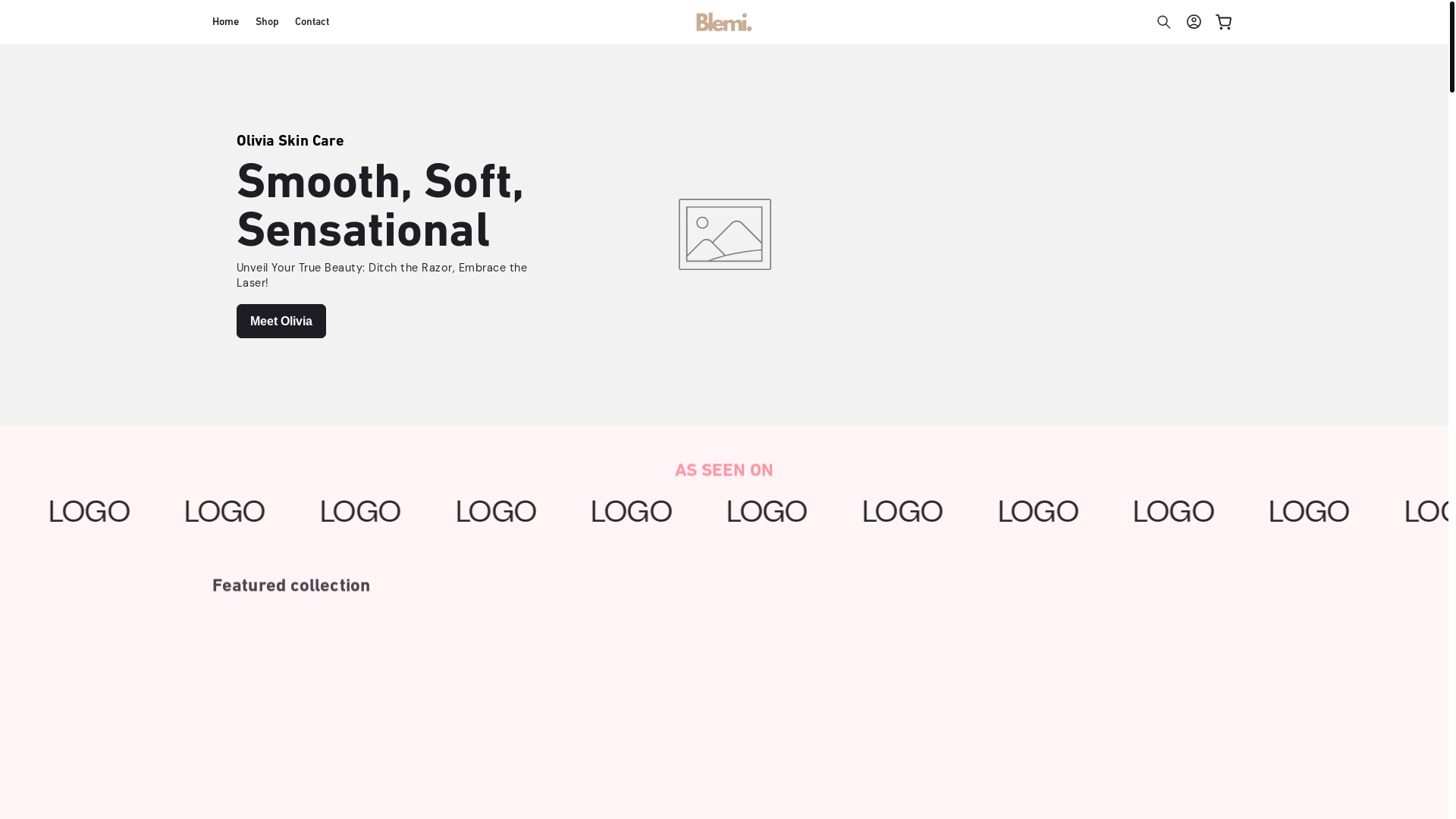 website screenshot of https://blemibaby.com/