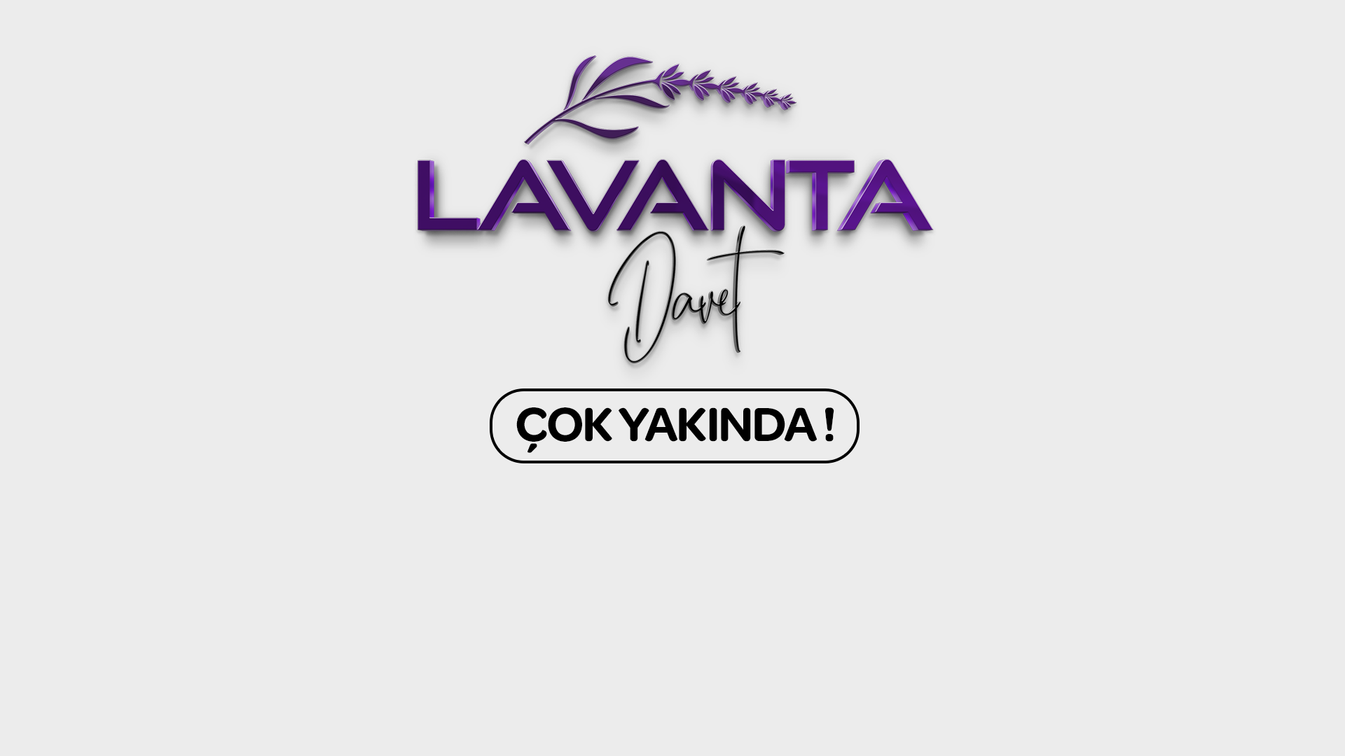 website screenshot of https://lavantadavet.com/