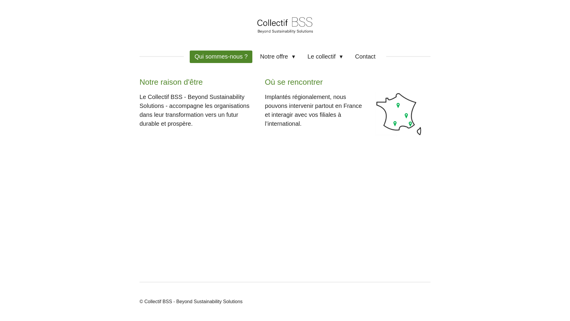 website screenshot of https://collectif-bss-beyond-sustainability-solutions.com/