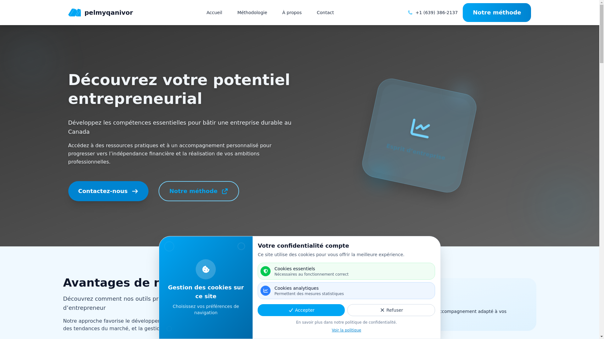 website screenshot of https://pelmyqanivor.com/