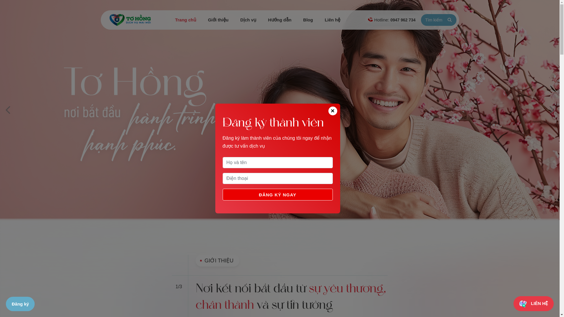 website screenshot of https://tohong.com.vn/