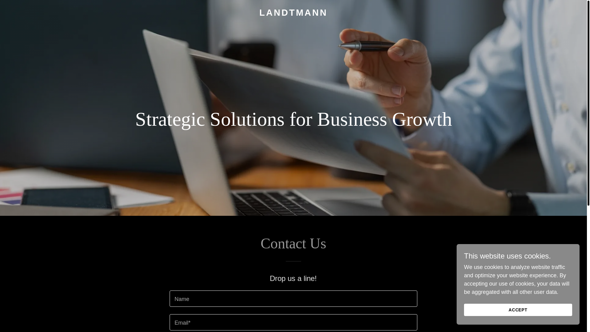 website screenshot of https://landtmann.net/
