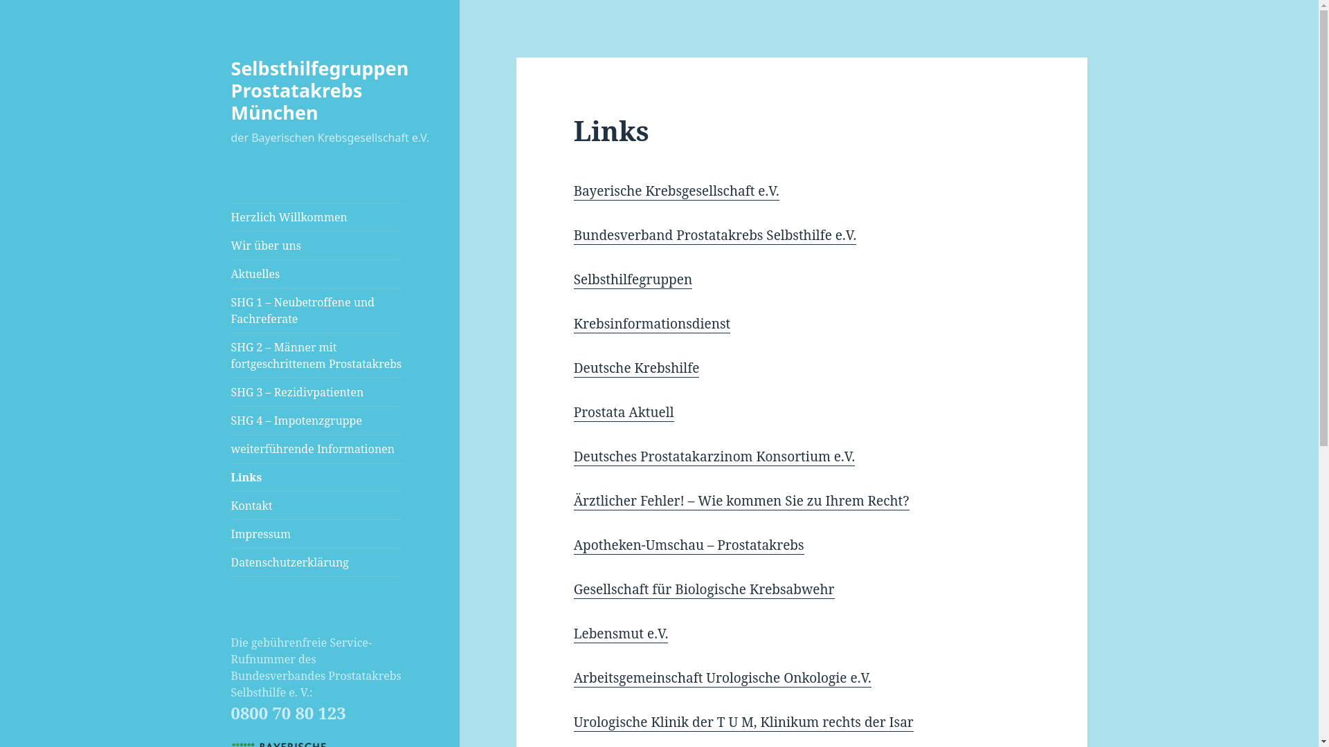 website screenshot of https://shg-prostatakrebs-muenchen.de/links/