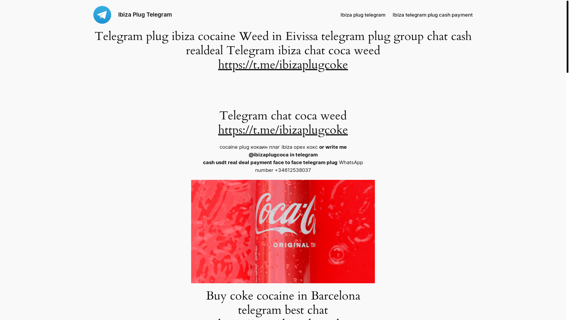website screenshot of https://ibizaplugtelegram.com/