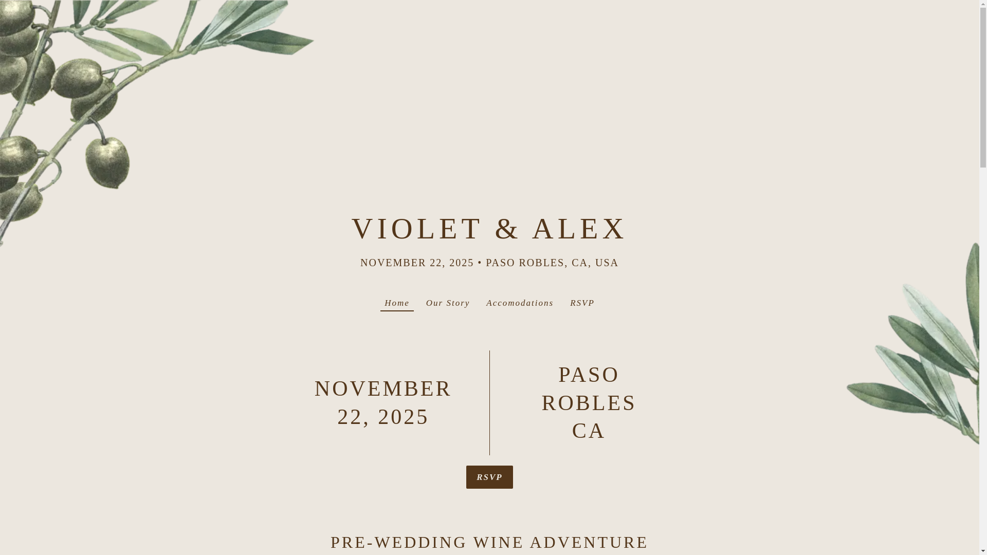 website screenshot of https://violet-and-alex.com/