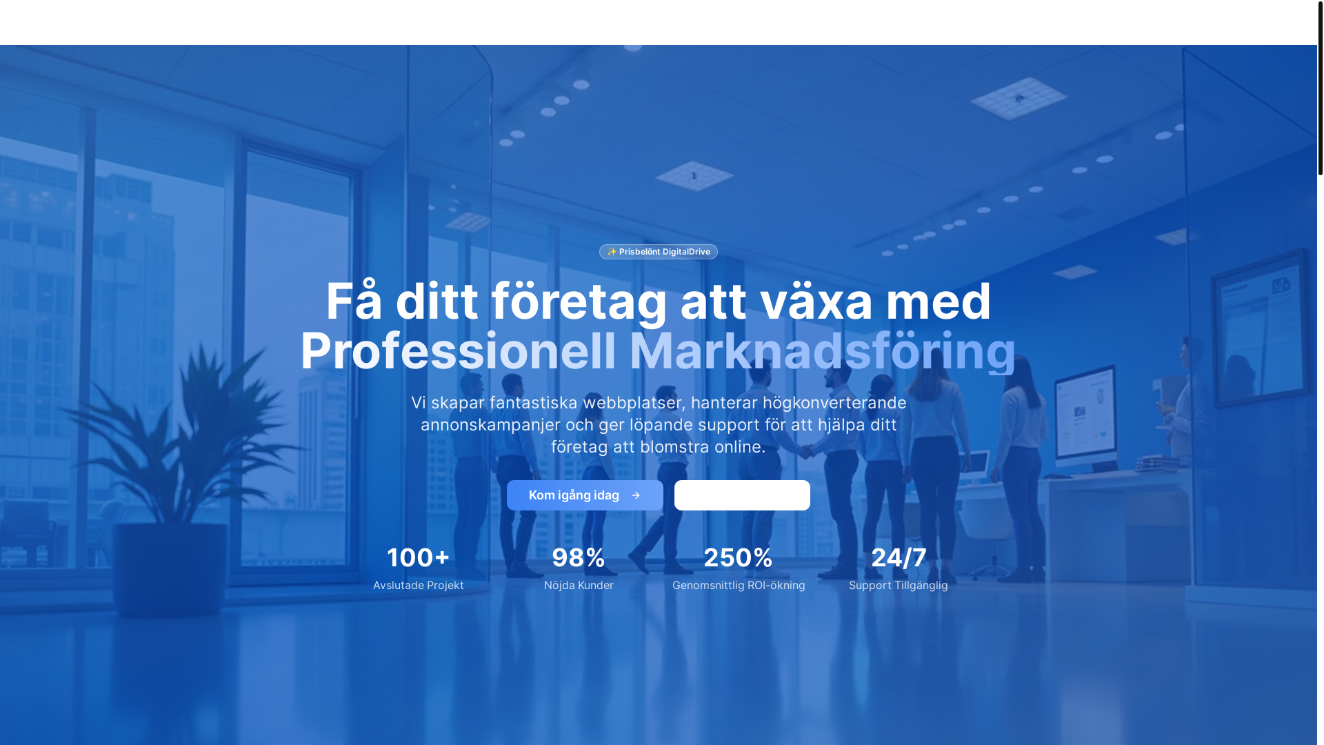 website screenshot of https://digitaldrive.se/
