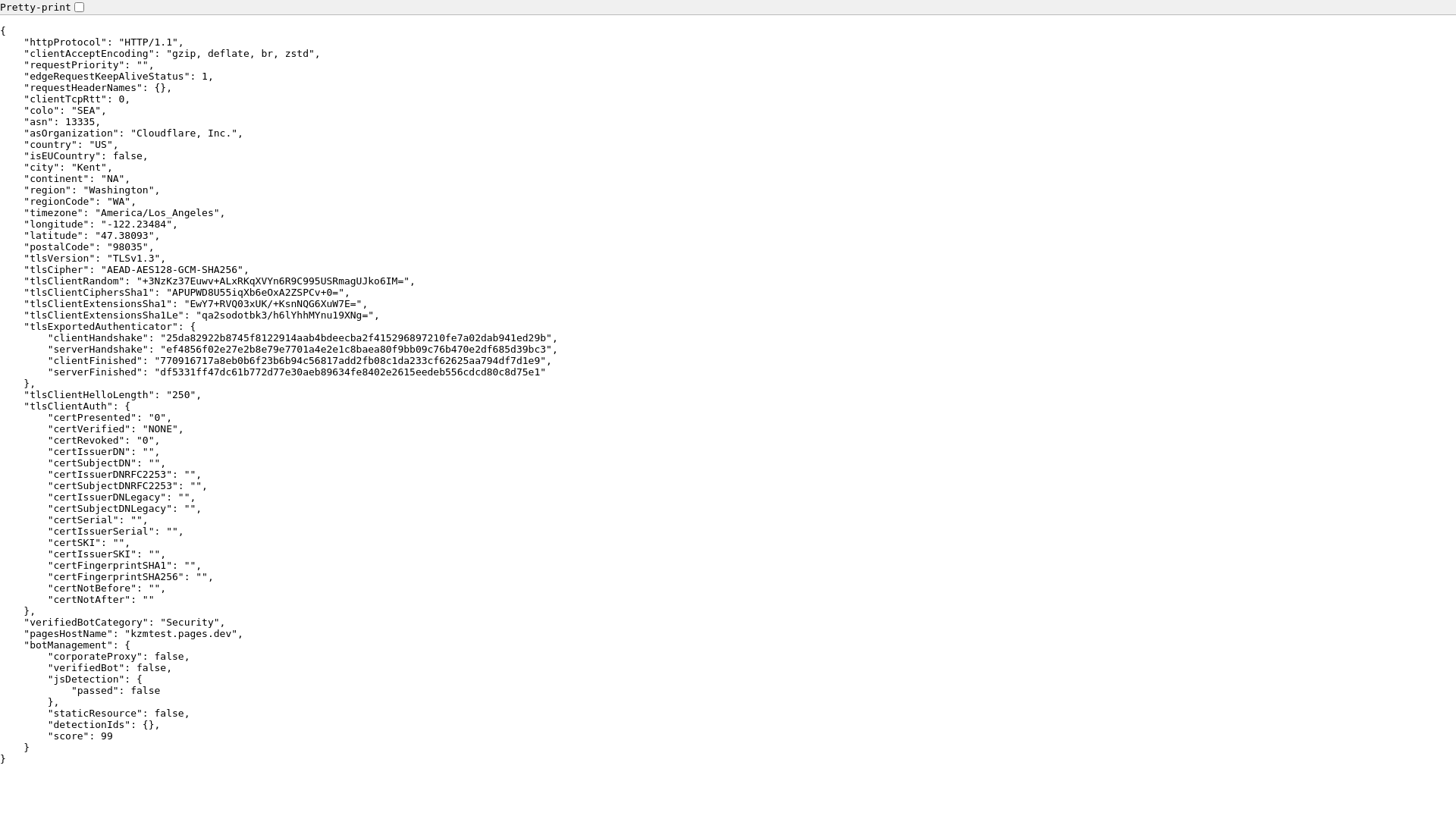 website screenshot of https://kzmtest.pages.dev/
