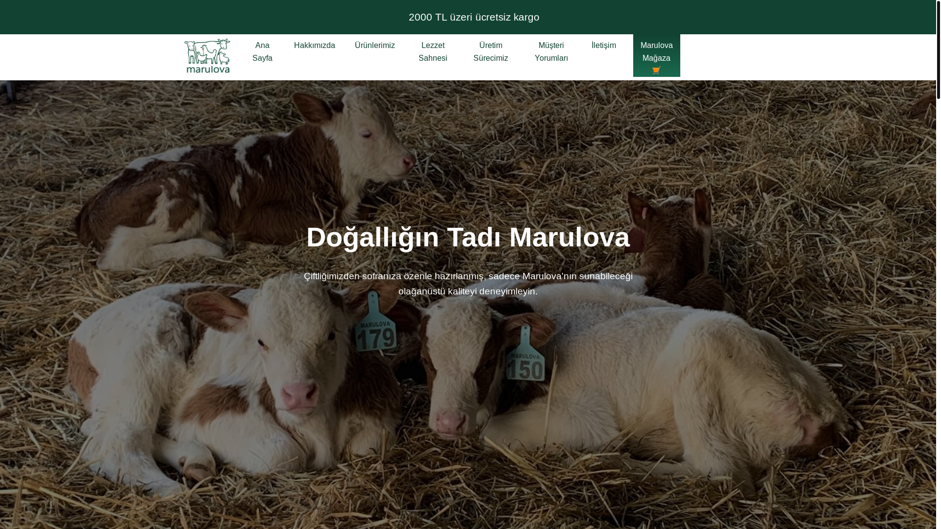 website screenshot of https://marulovalanding.pages.dev/