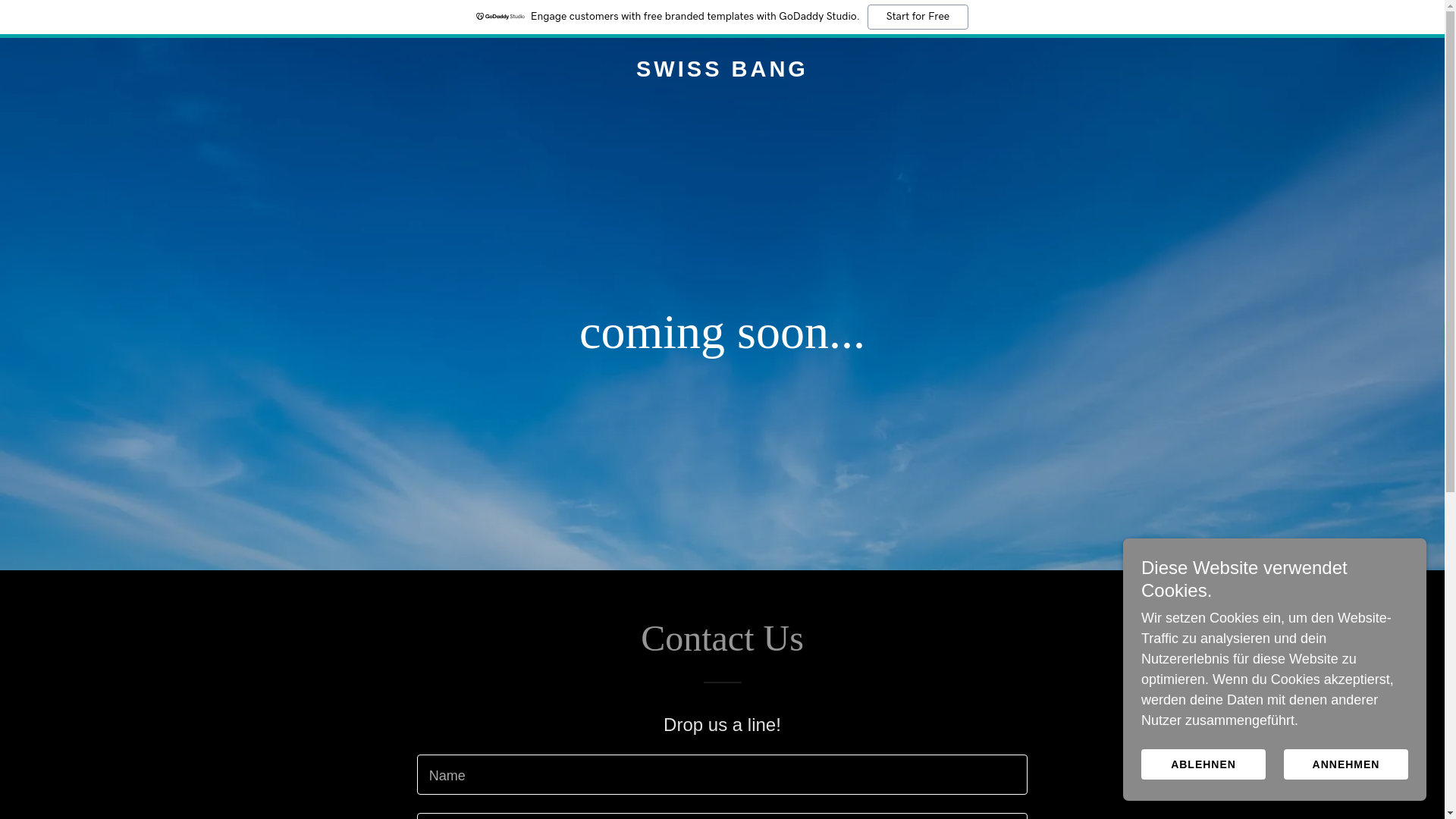 website screenshot of https://swissbang.org/