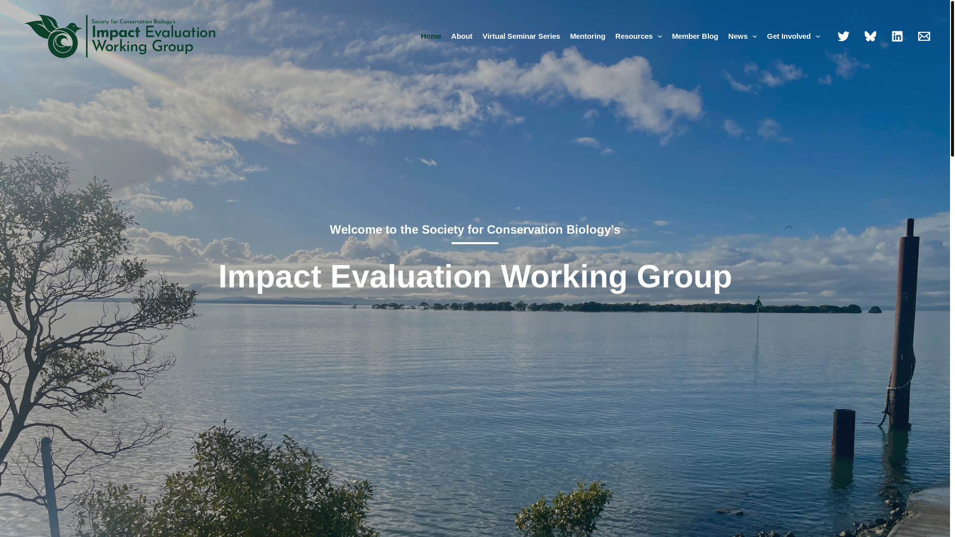 website screenshot of https://scb-impact.org/