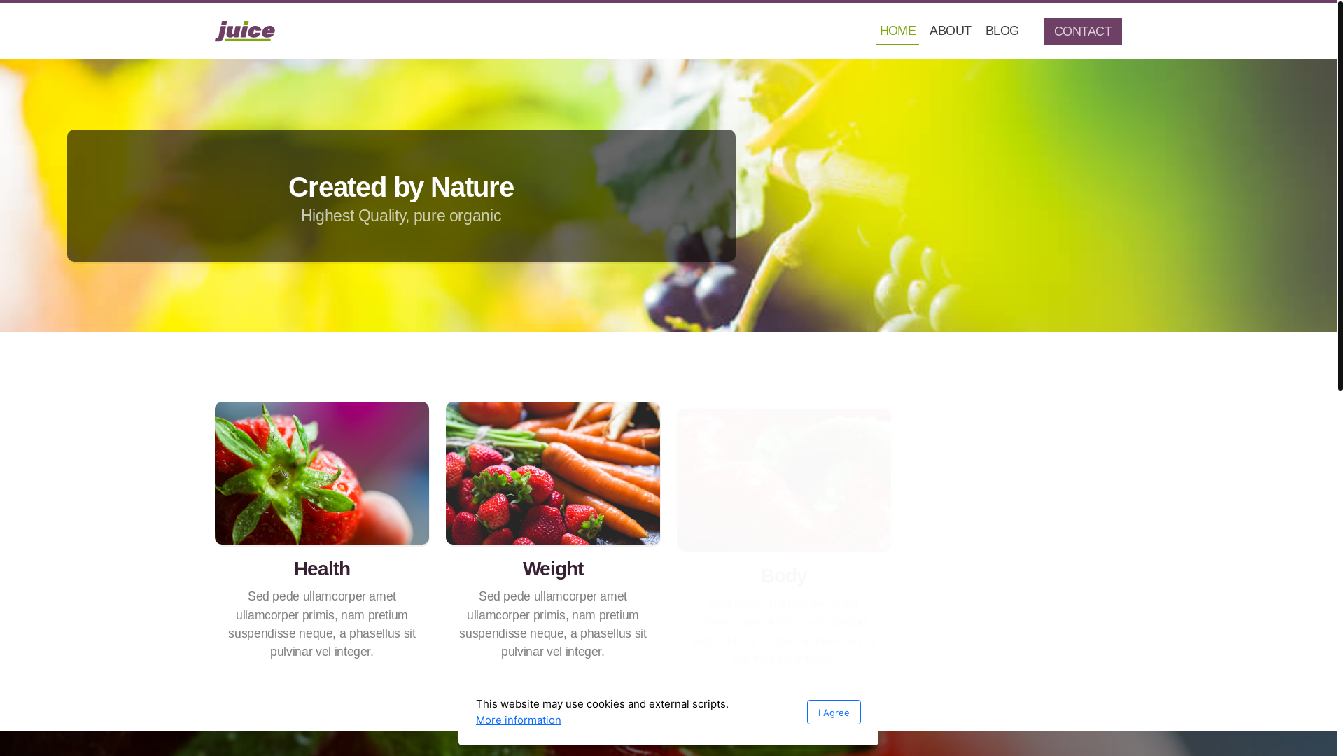 website screenshot of https://vickylynnhealth.com/