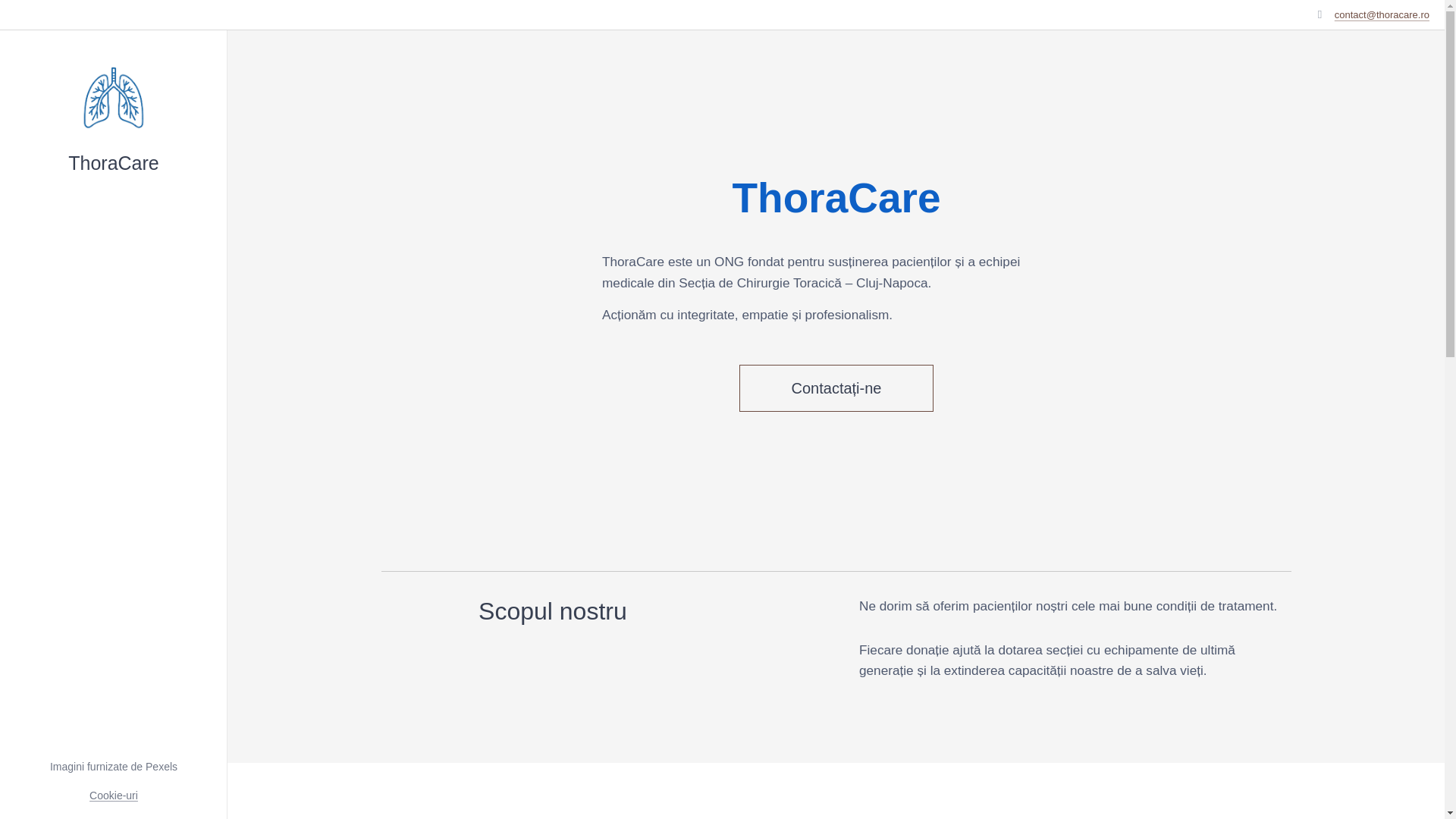 website screenshot of https://thoracare.ro/