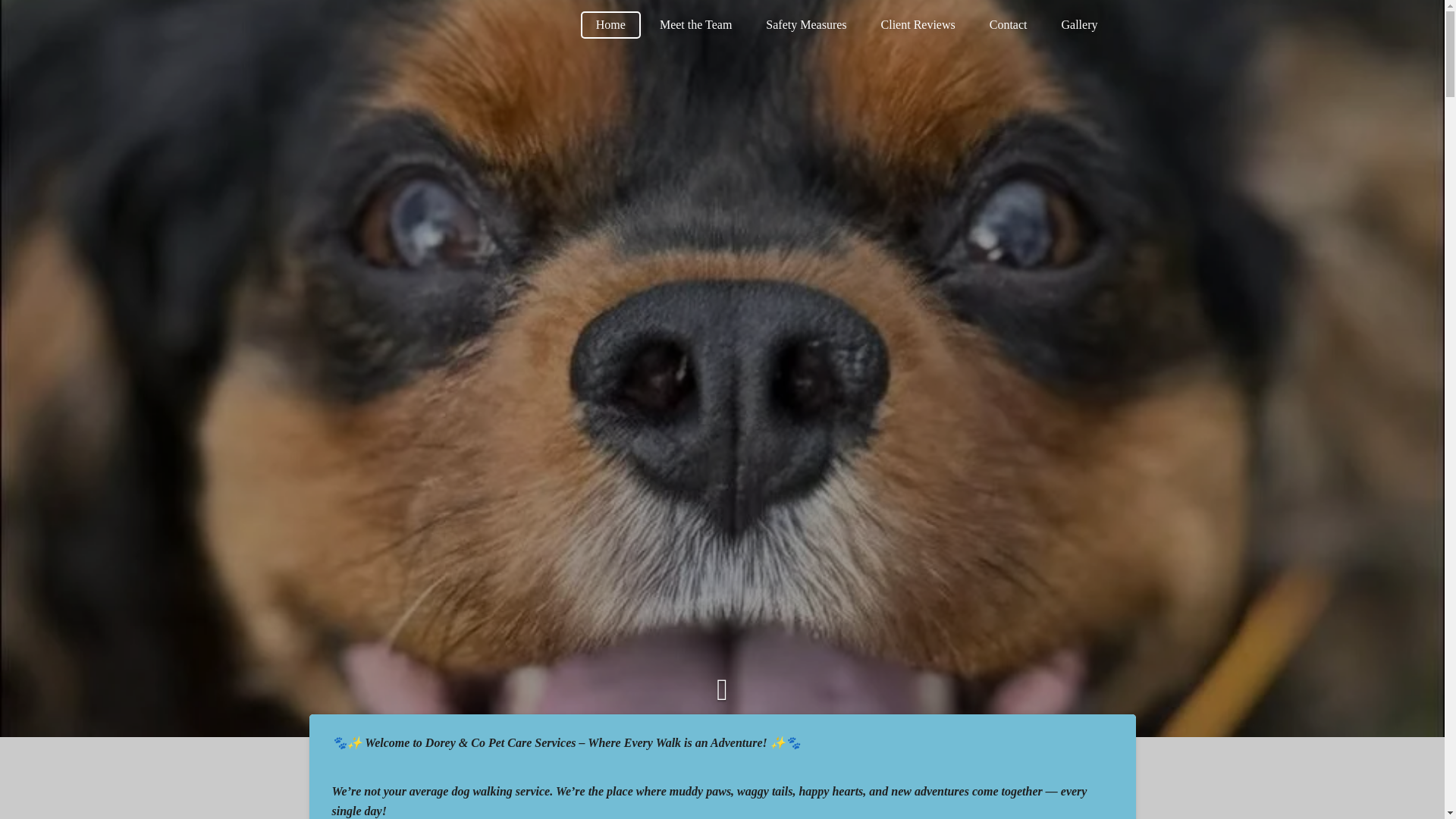 website screenshot of https://dorey-and-co-pet-care.org/