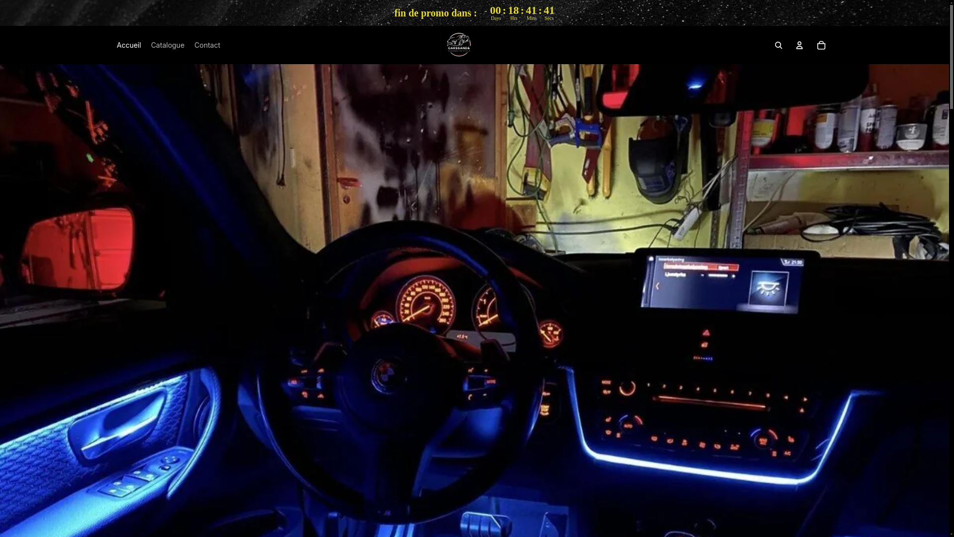 website screenshot of https://carsand.store/