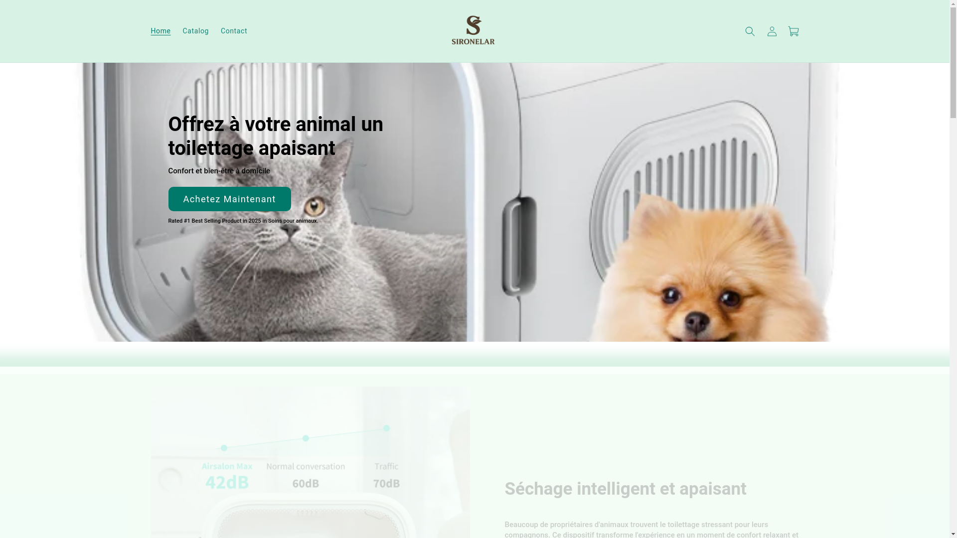 website screenshot of https://sironelar.fr/