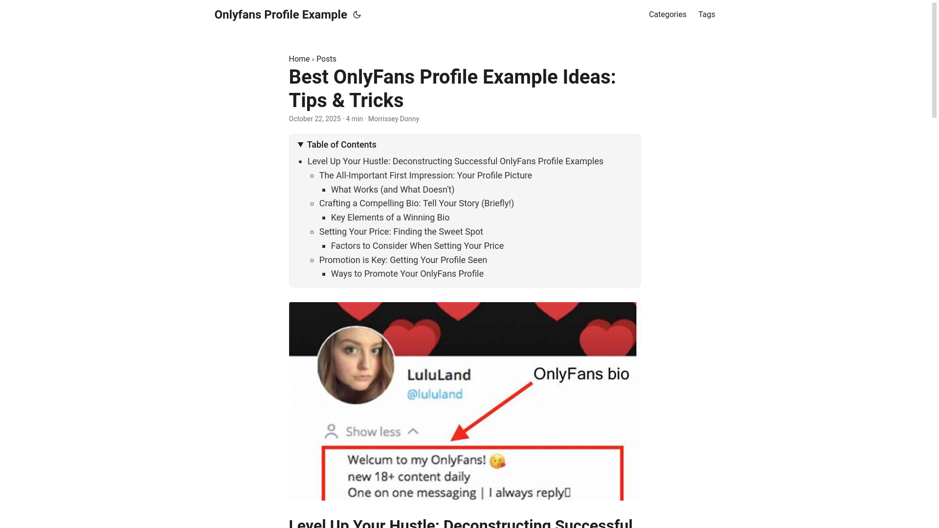 website screenshot of https://onlyfans-profile-example.pages.dev/