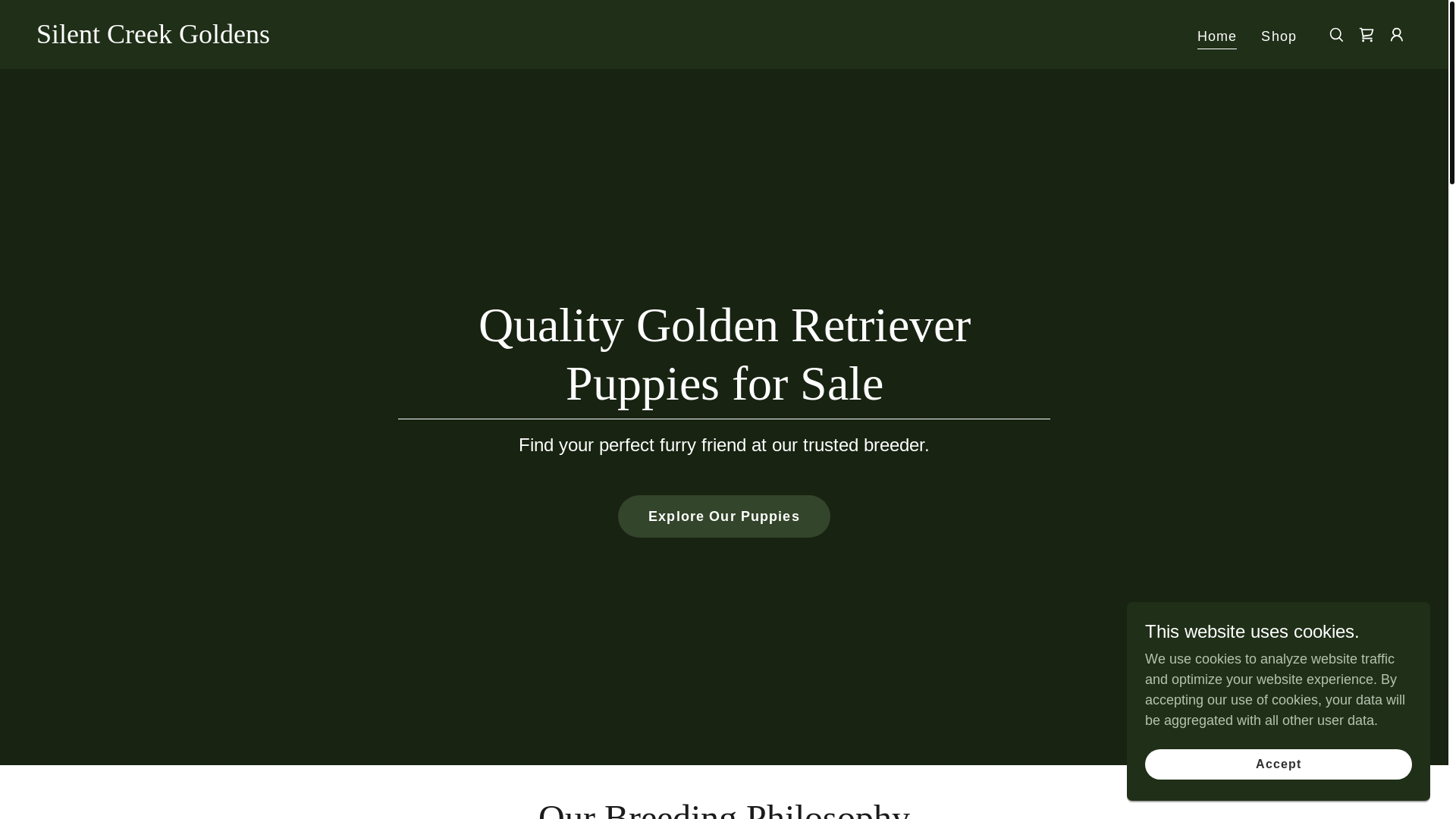 website screenshot of https://silentcreekgoldens.com/