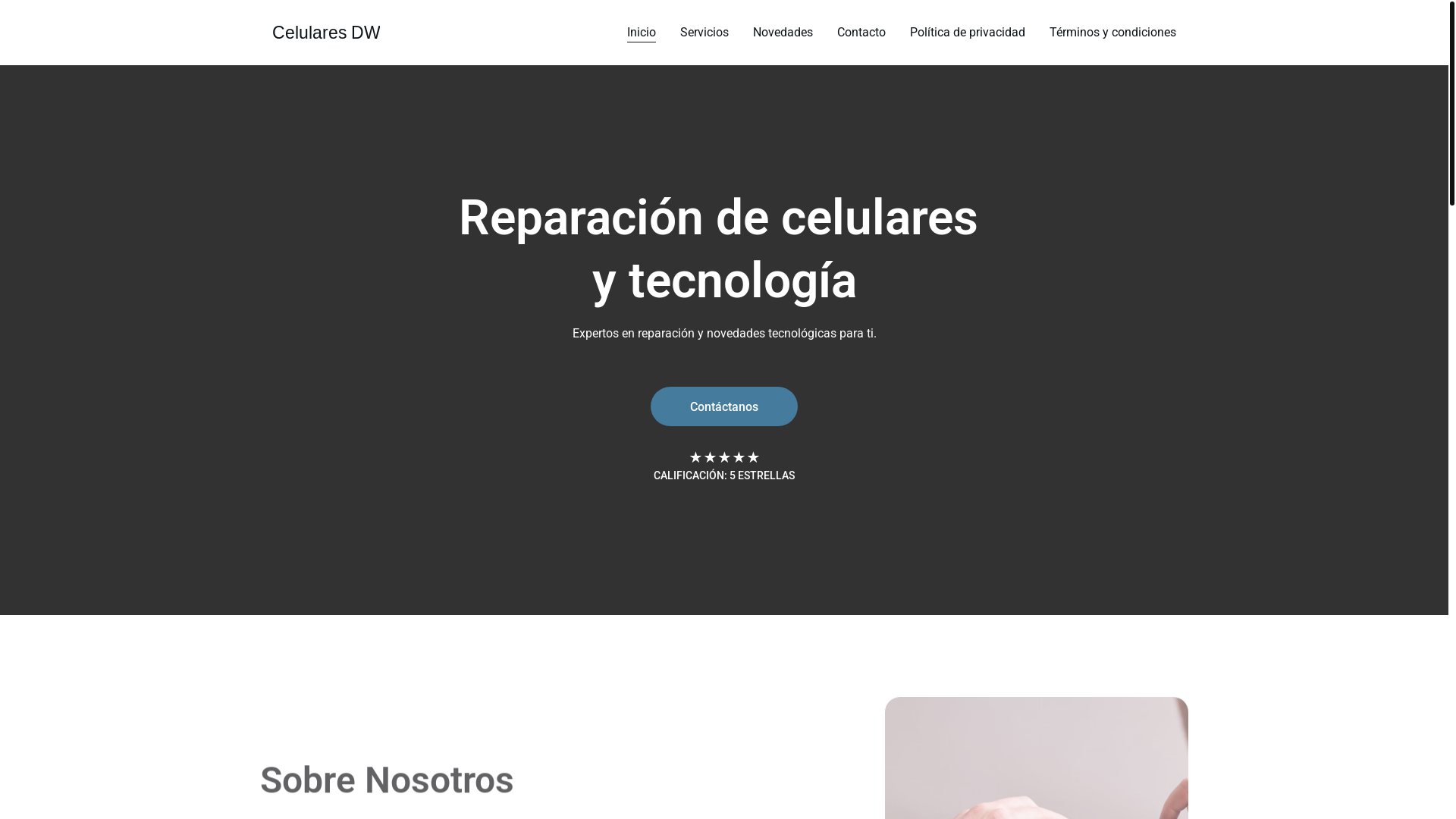 website screenshot of https://celularesdw.site/