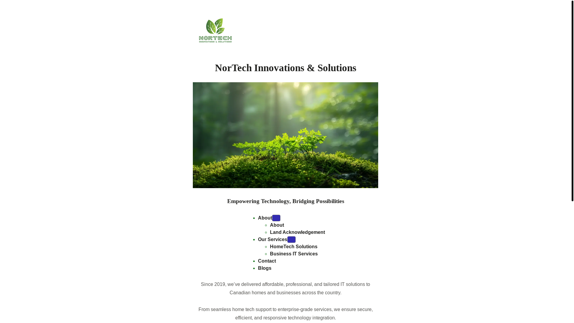 website screenshot of https://azhao.ca/