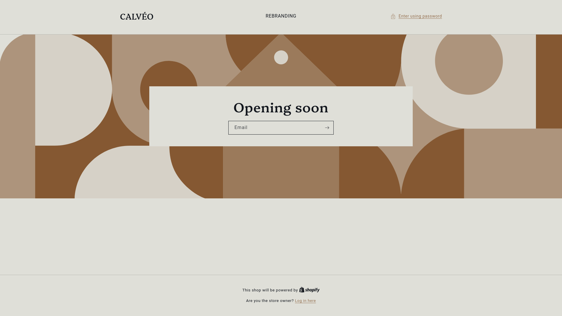 website screenshot of https://calveo.shop/