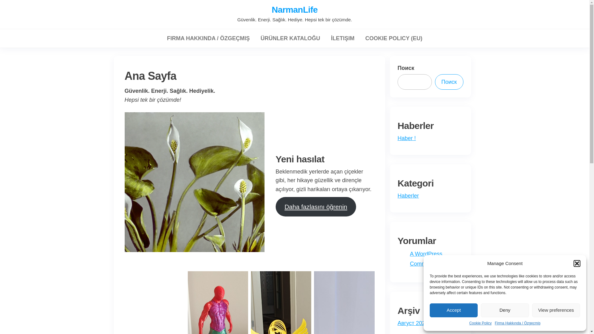 website screenshot of https://narmanlife.tr/