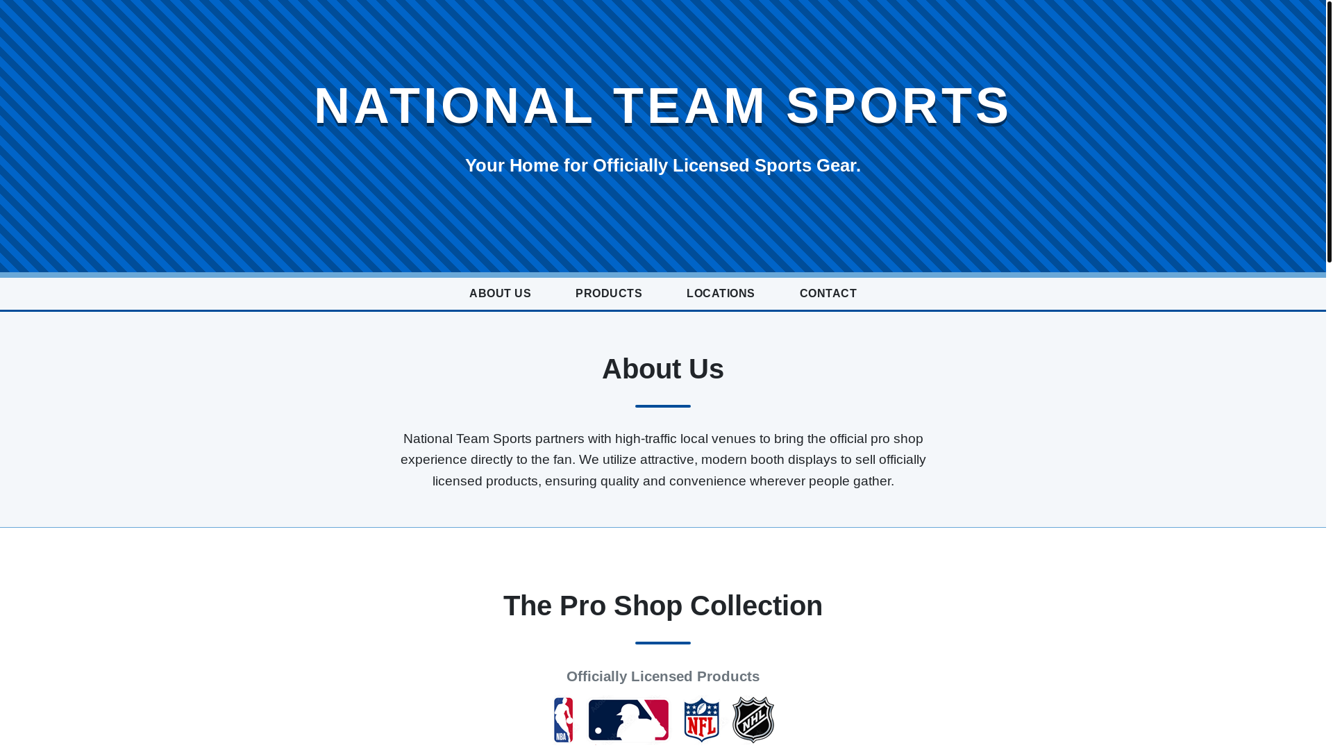 website screenshot of https://ntsportsgear.com/