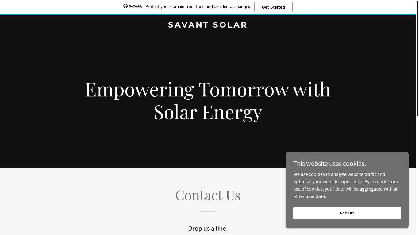 website screenshot of https://savantsolar.biz/