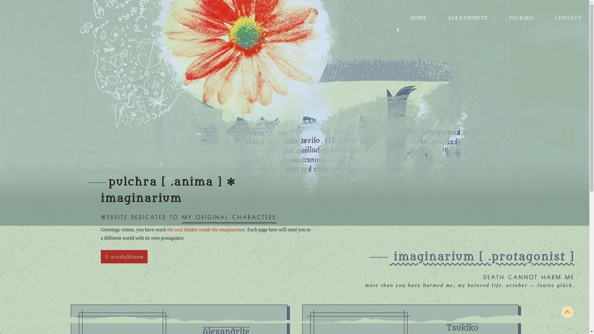 website screenshot of https://animapulchra.pages.dev/