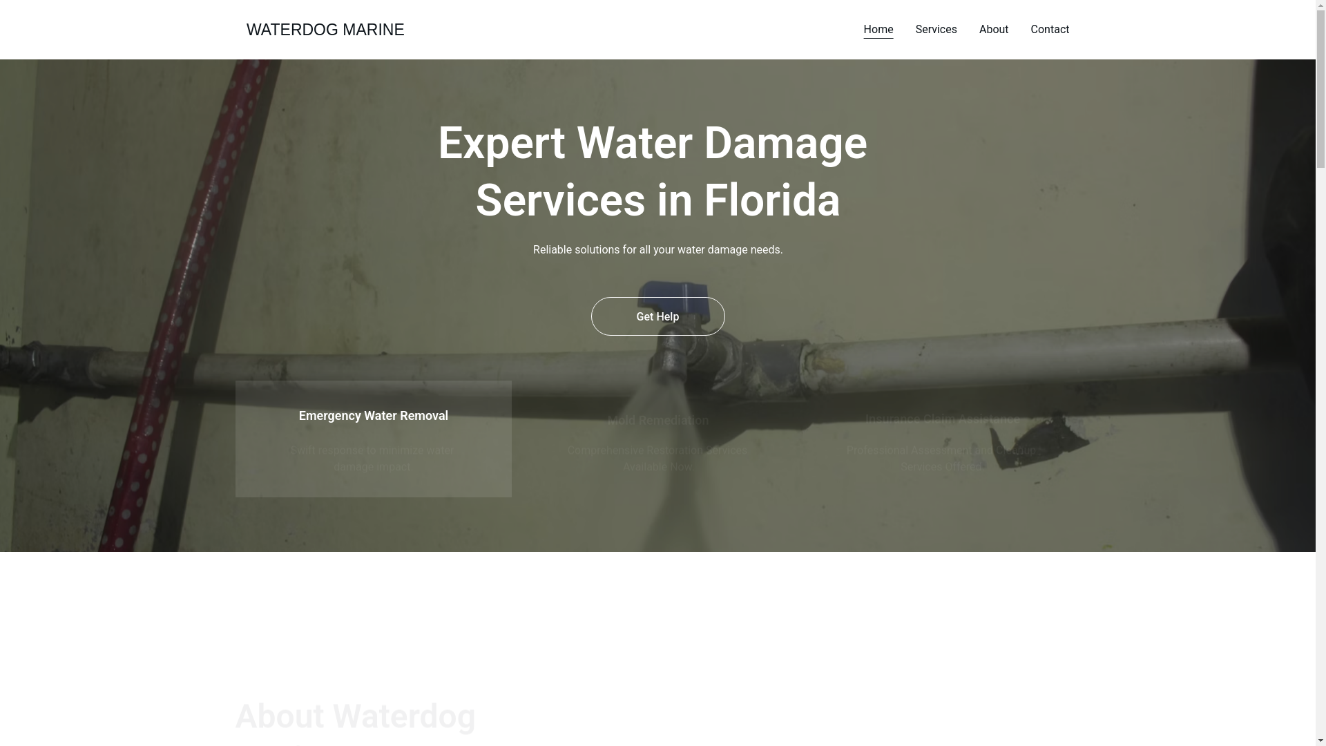 website screenshot of https://waterdogmarinedamagerestoration.shop/