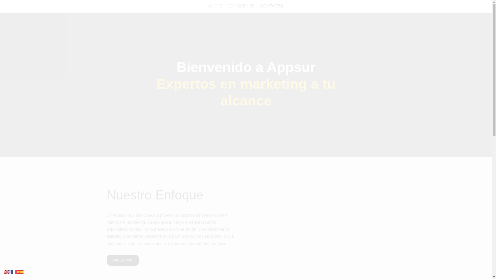 website screenshot of https://doloresdelpilarros.es/