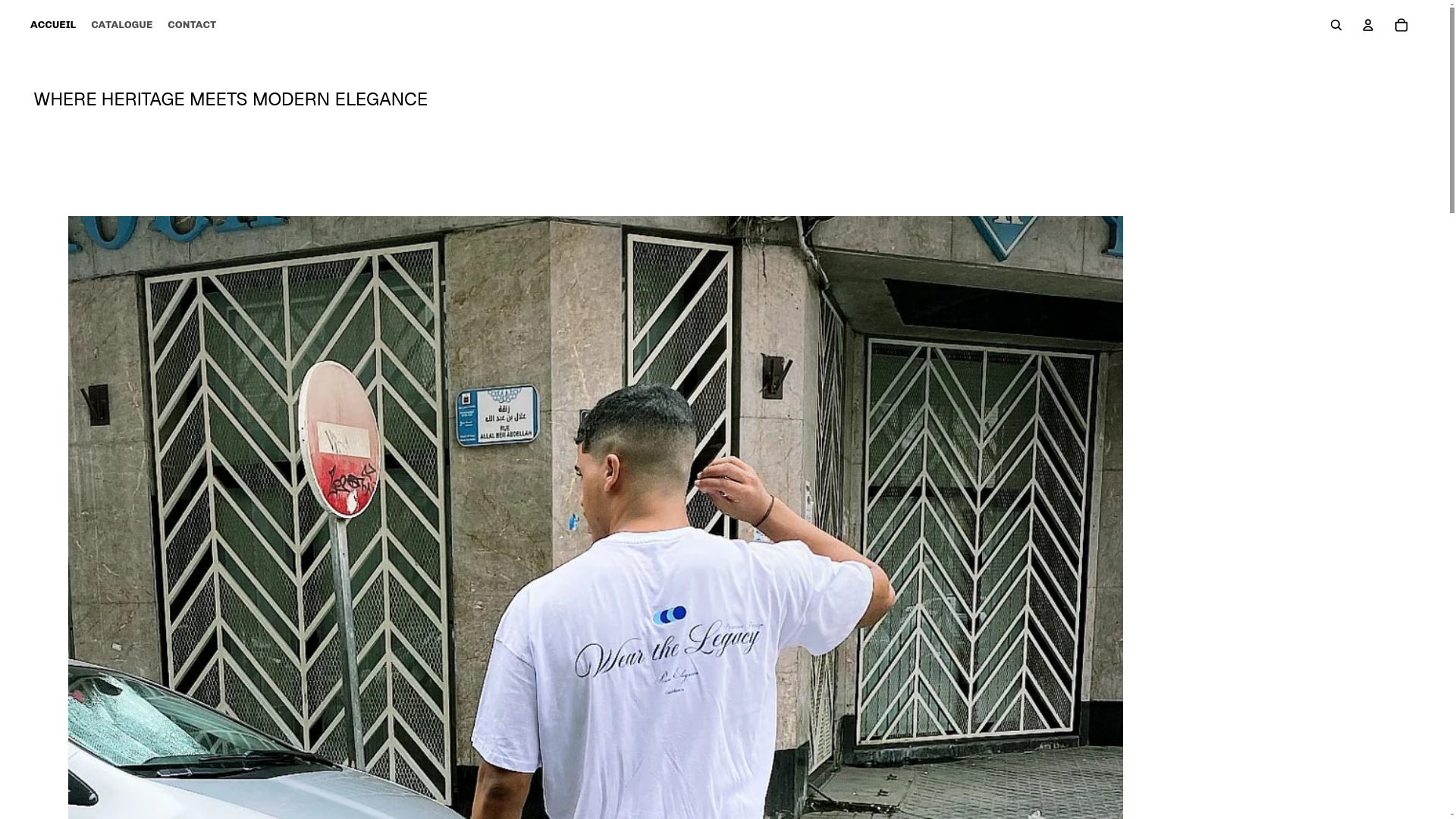 website screenshot of https://zynarabic.com/