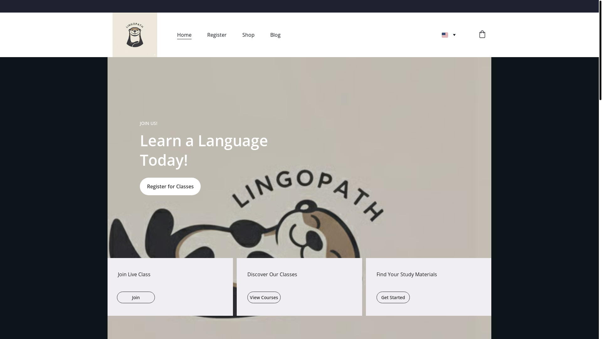 website screenshot of https://langott.com/
