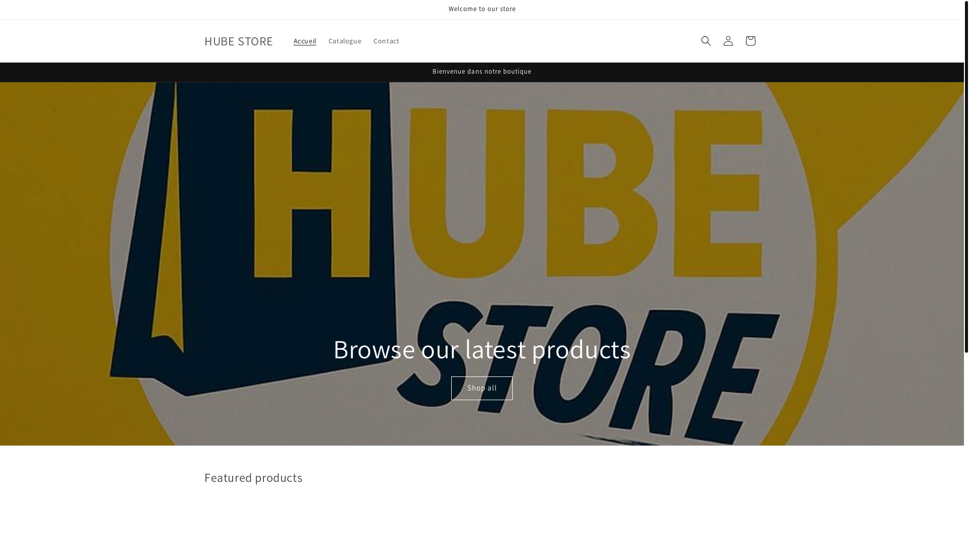 website screenshot of https://hubestore.store/