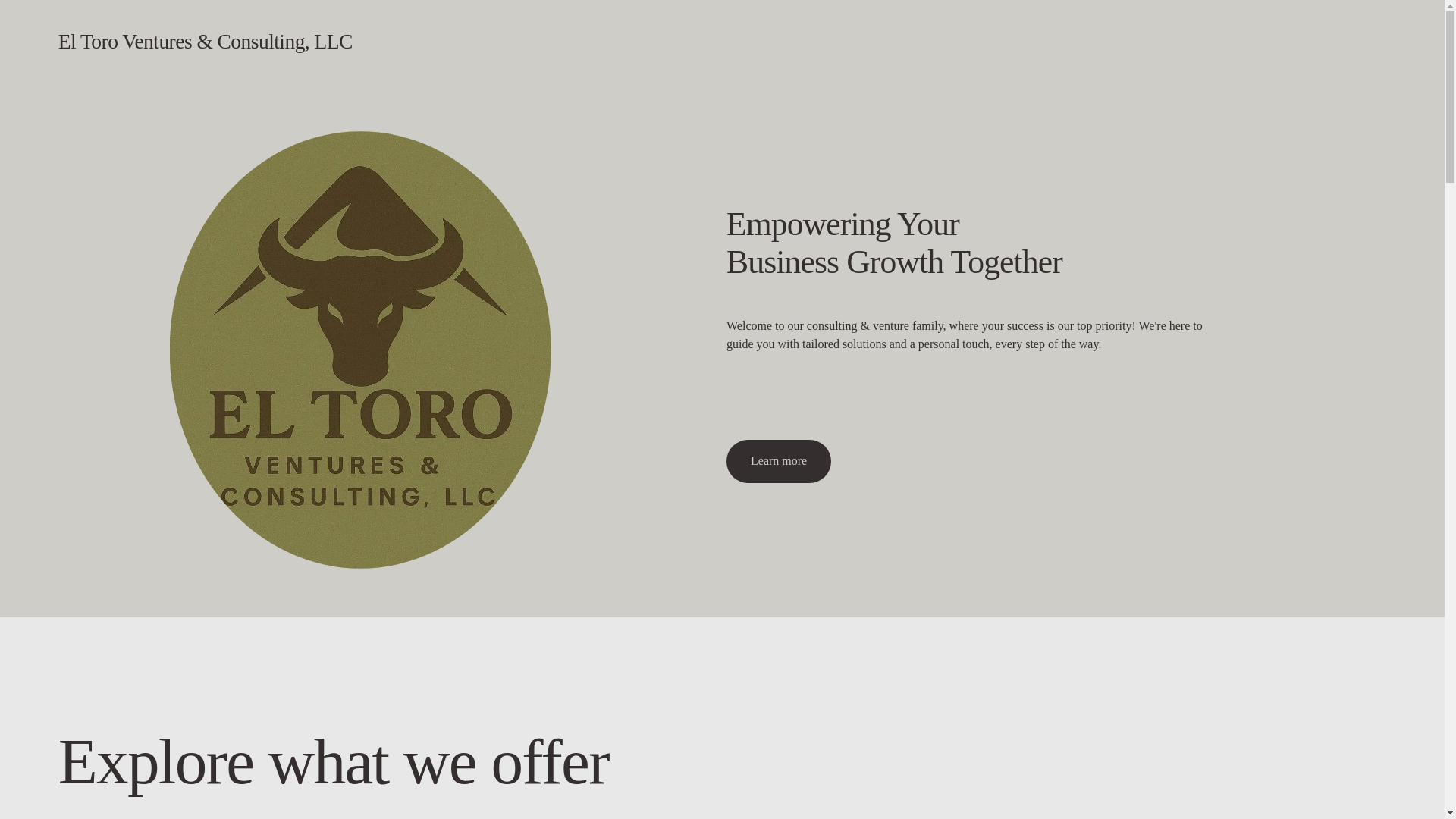 website screenshot of https://eltoroventuresconsultingllc.com/