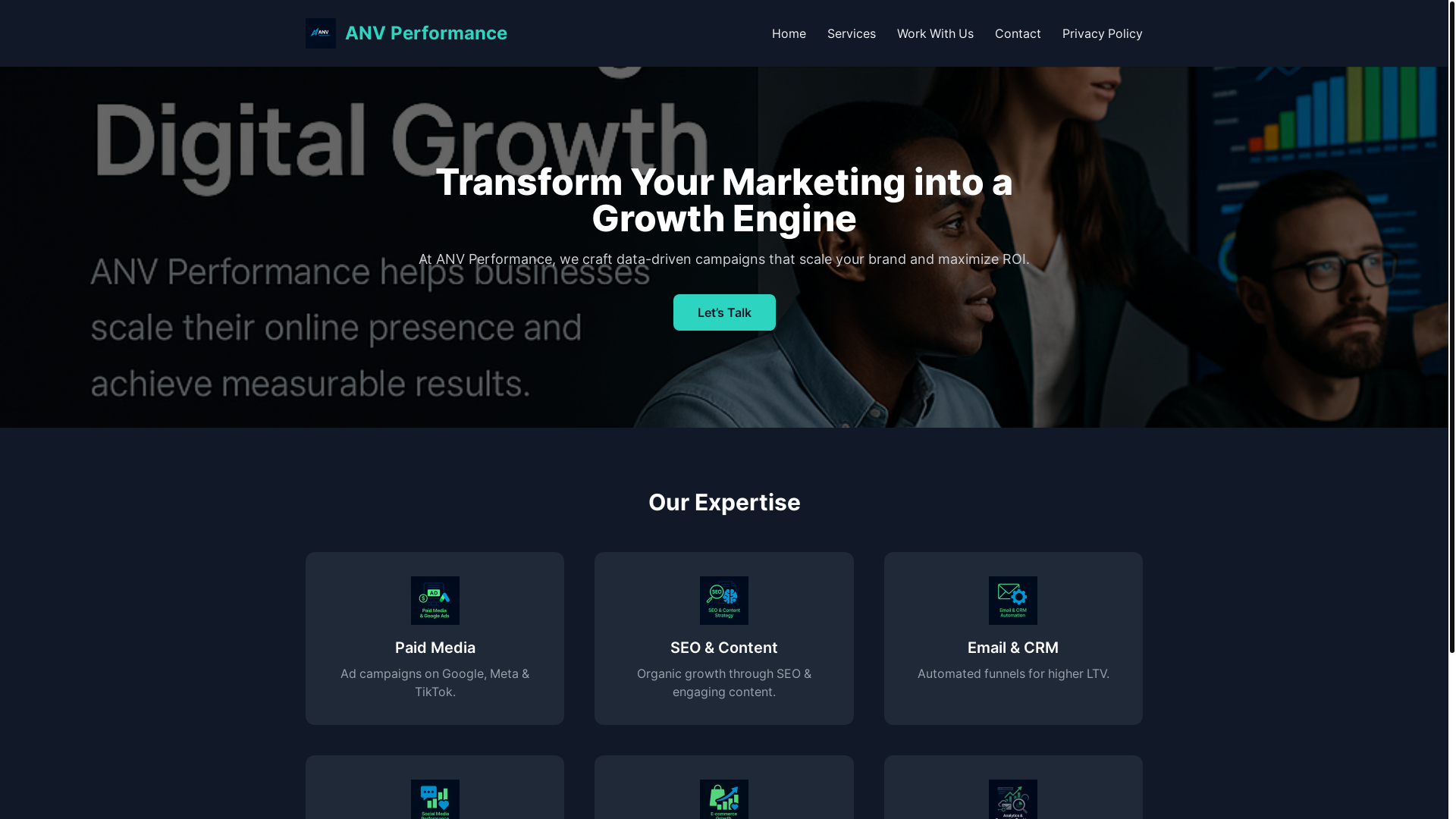 website screenshot of https://anv-performance.com/