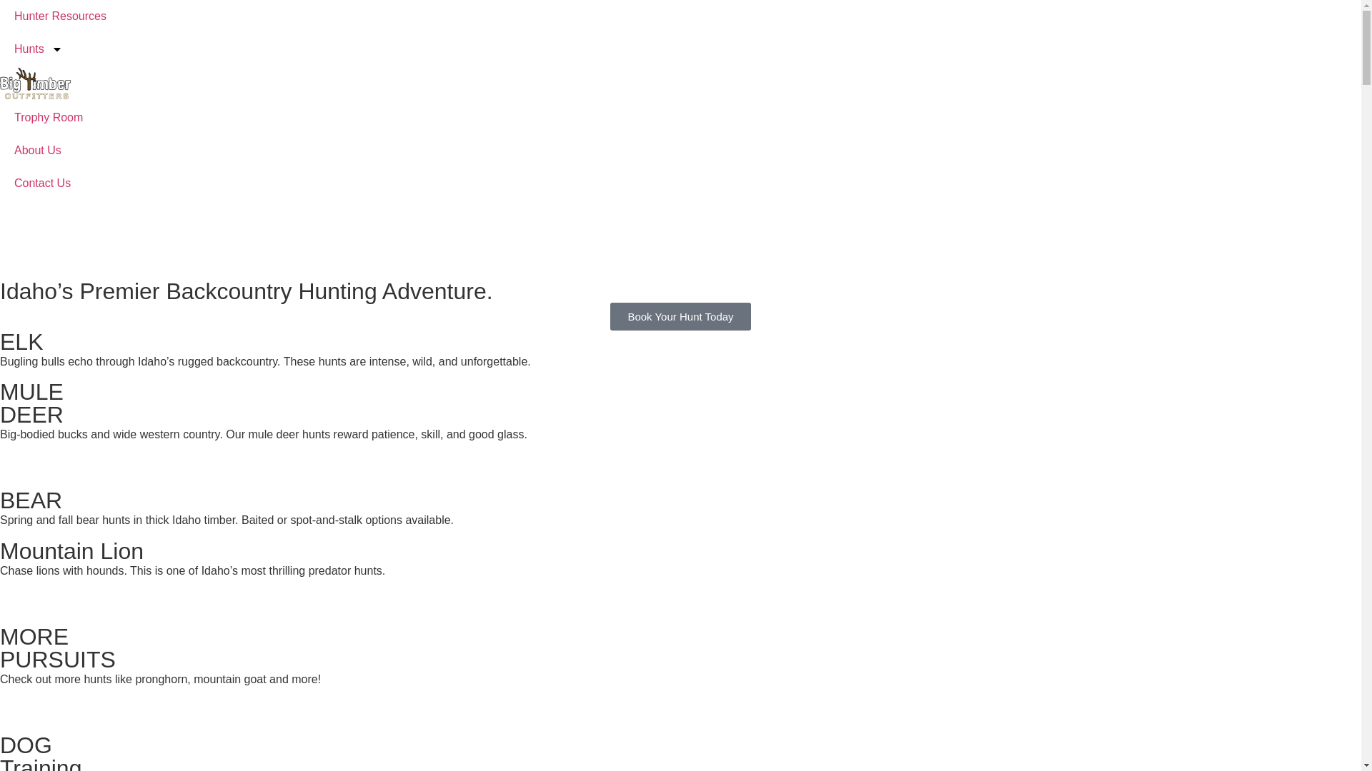 website screenshot of https://bigtimberoutfittersllc.com/