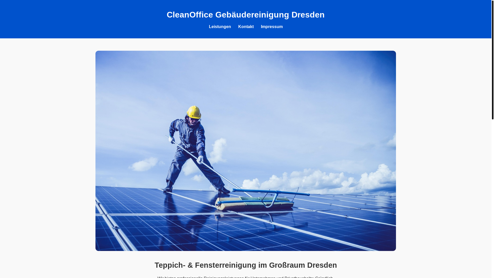 website screenshot of https://cleanoffice.de/