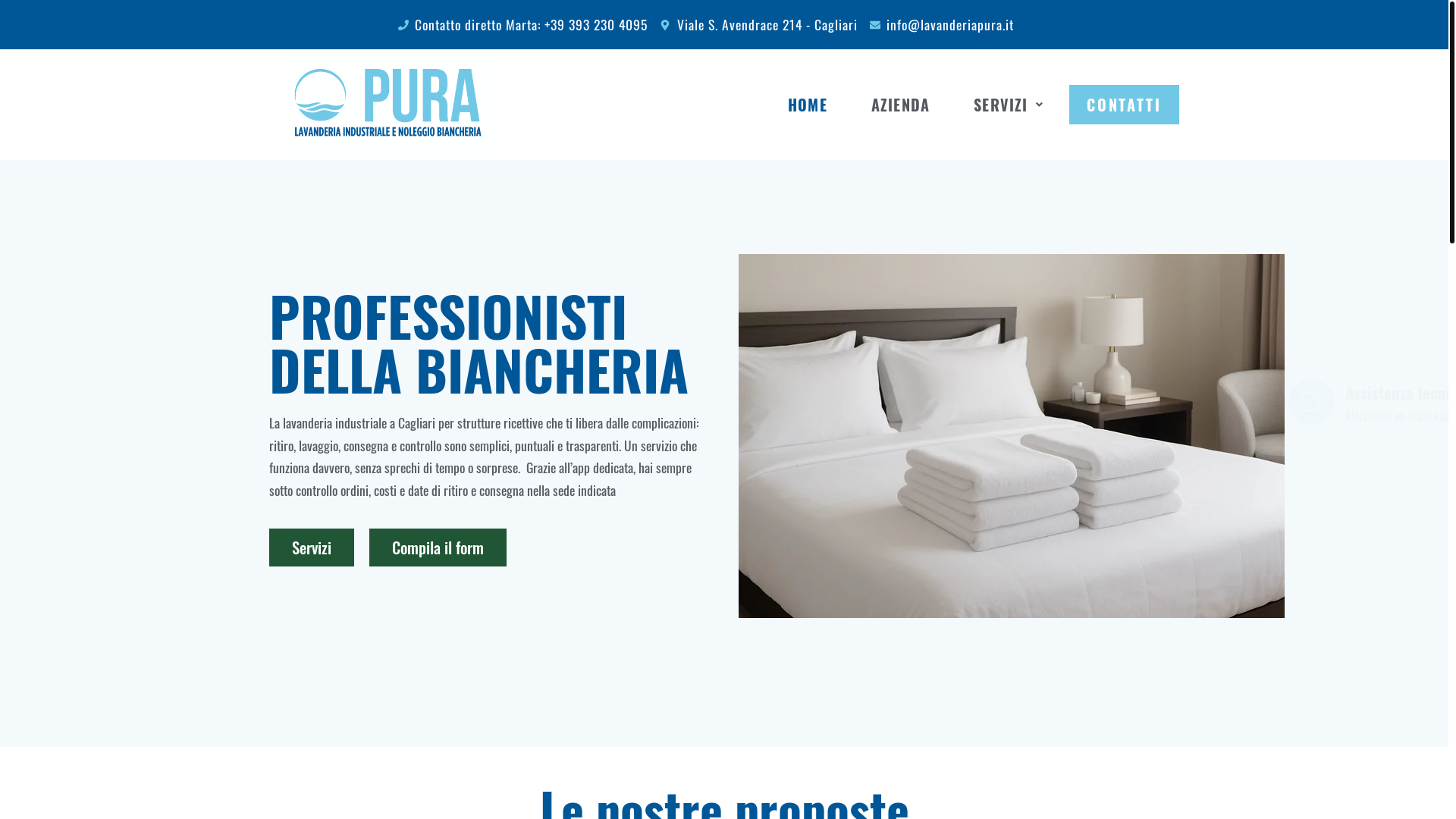 website screenshot of https://lavanderiapura.it/