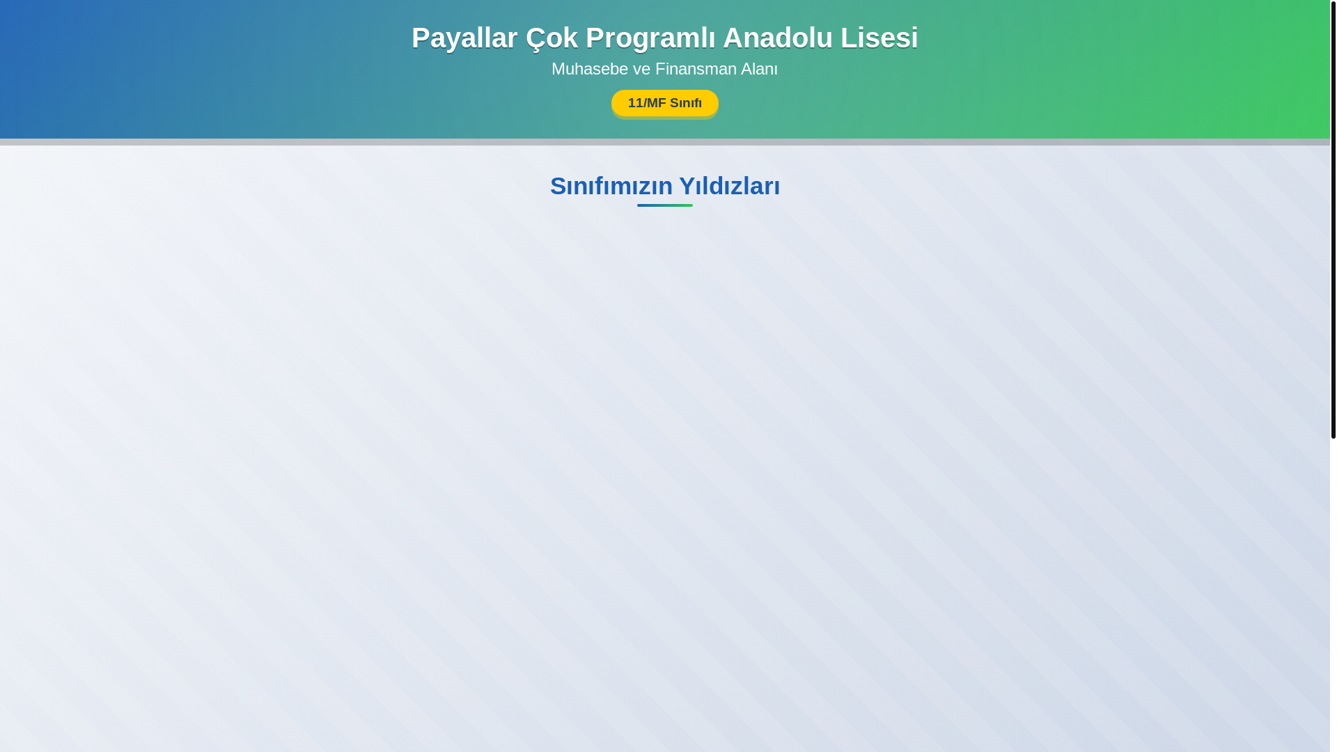 website screenshot of https://payallarcpalmuhasebe.com/