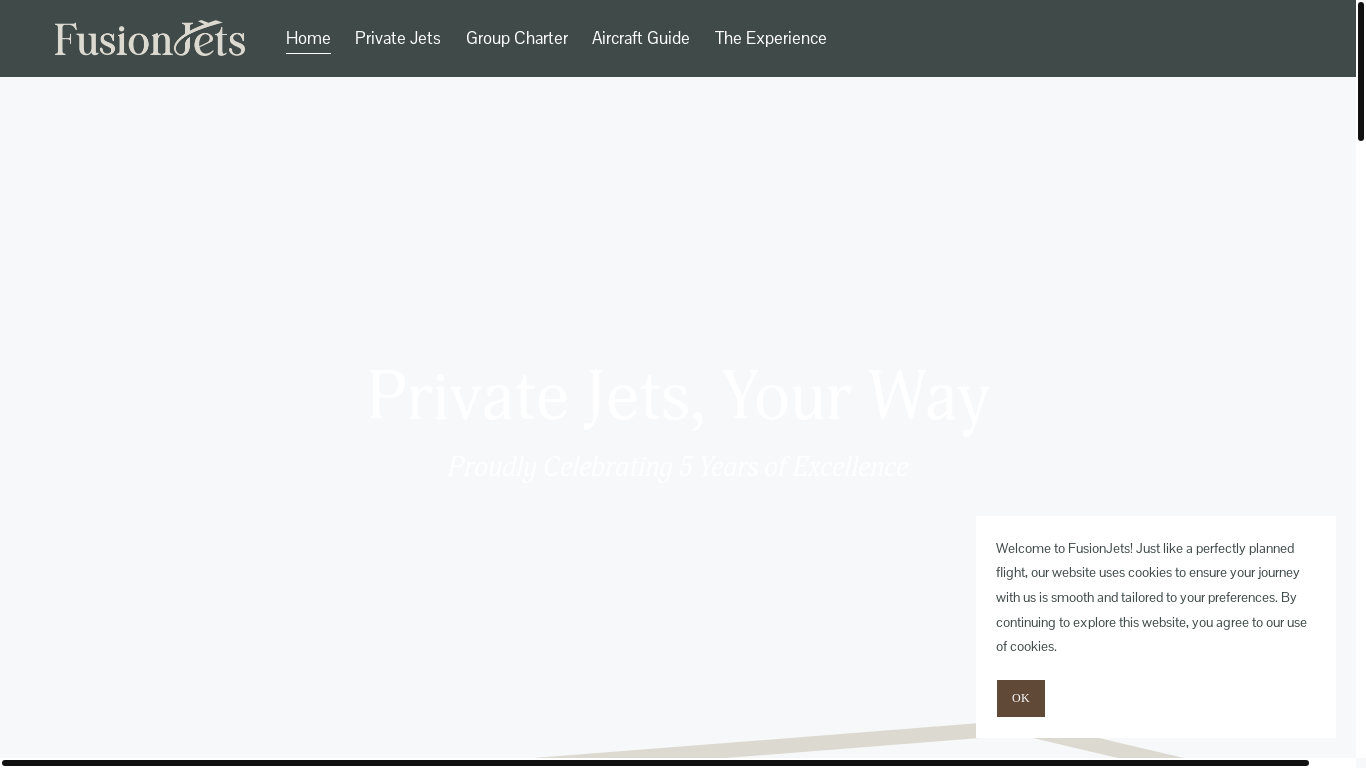 website screenshot of https://fusionjetservice.com/