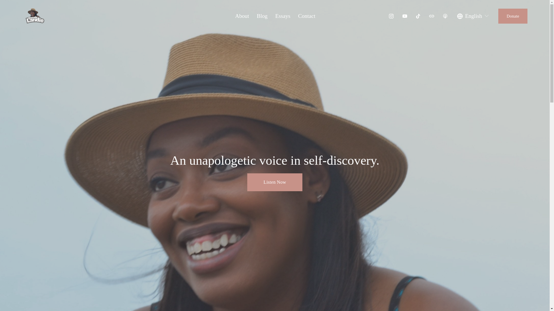 website screenshot of https://chicagolandie.com/