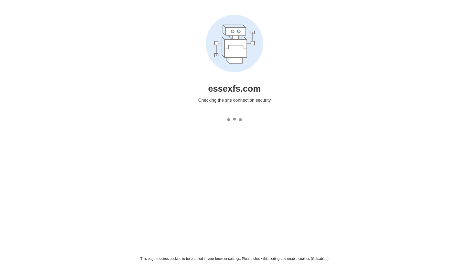 website screenshot of http://www.essexfs.com/