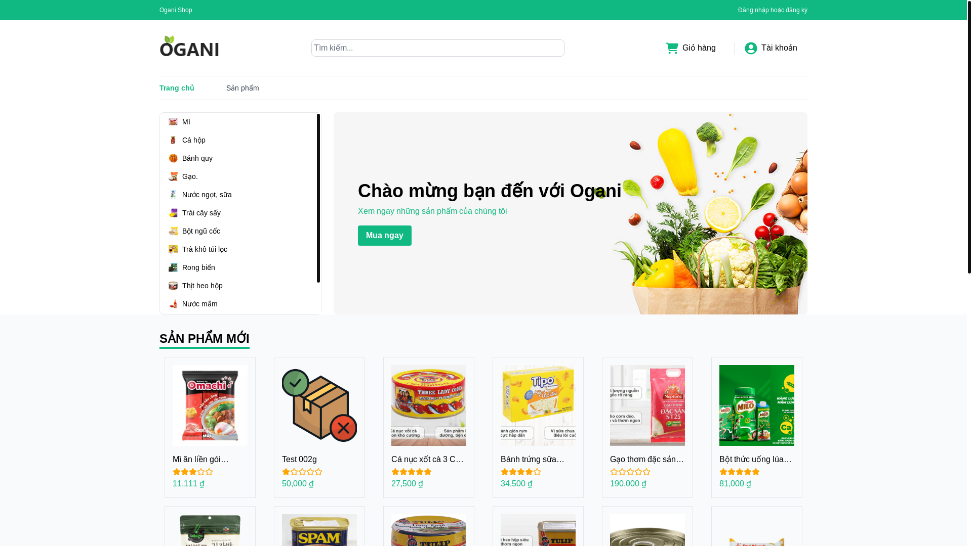 website screenshot of https://grocery-store-lite.pages.dev/